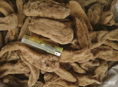 天麻安徽亳州譙城區(qū)_批發(fā)_供應-一畝田農業(yè)網_專業(yè)的農產品信息商務平臺